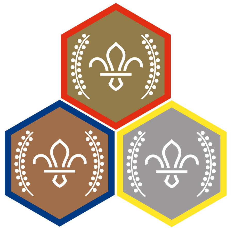 explorer scout silver award